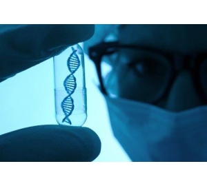 Воры генов: почему ученые изучают мнения россиян о ДНК